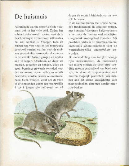 Dieren in en om het huis - Afbeelding 4
