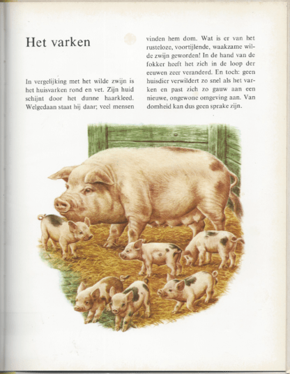 Dieren in en om het huis - Afbeelding 5