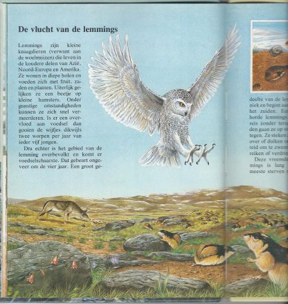 Dieren op trektocht - Afbeelding 2