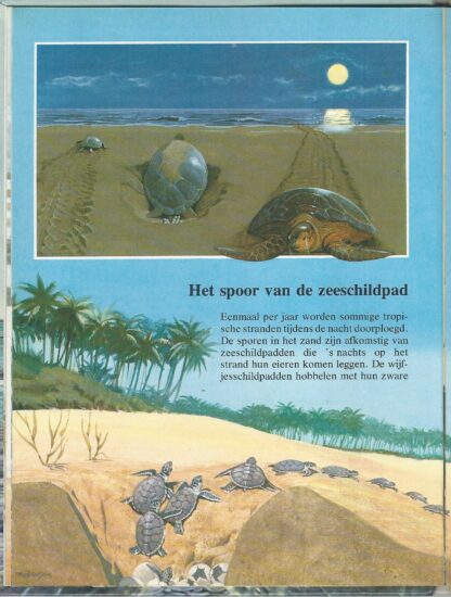 Dieren op trektocht - Afbeelding 4