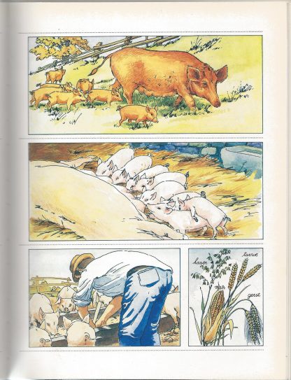 Dieren van de boerderij - Germaine Finifter - Afbeelding 4