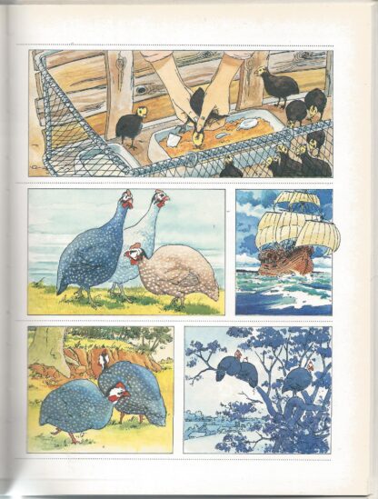 Dieren van de boerderij - Germaine Finifter - Afbeelding 5
