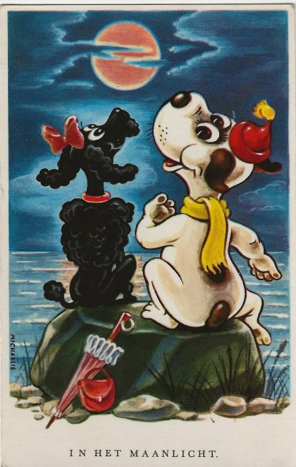Twee honden in het maanlicht
