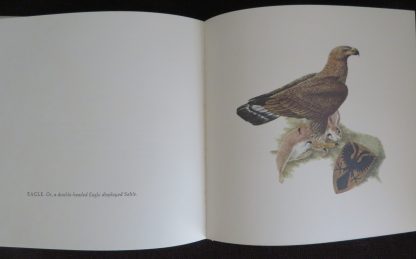 Beasts in Heraldry  -  Marie Angel - Afbeelding 7