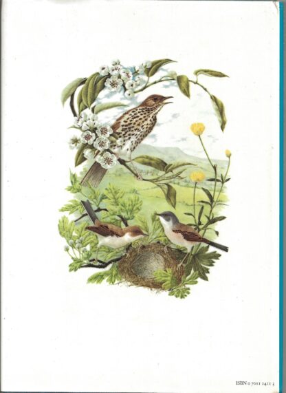 Bird, Beast & Flower  -  Marie Angel - Afbeelding 10