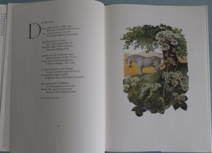 Bird, Beast & Flower  -  Marie Angel - Afbeelding 9