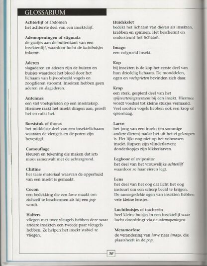 Wat is een insekt?  -  Robert Snedden - Afbeelding 5
