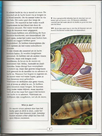Wat is een vis?  - Robert Snedden - Afbeelding 4