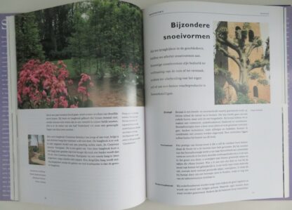 Snoeien  -  Klaas T. Noordhuis - Afbeelding 2