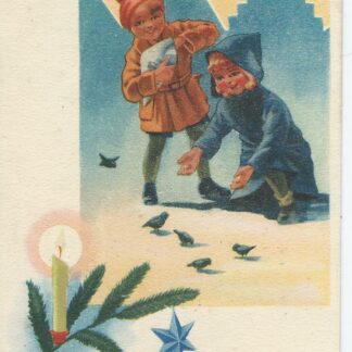 Vogels voeren
