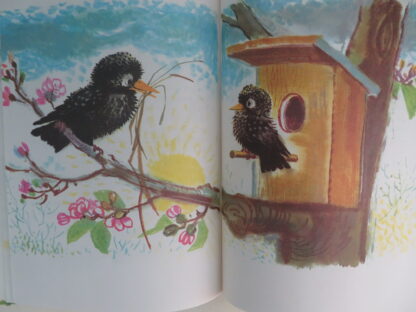 Der Star im Apfelbaum  -  Edith Bergner - Afbeelding 5