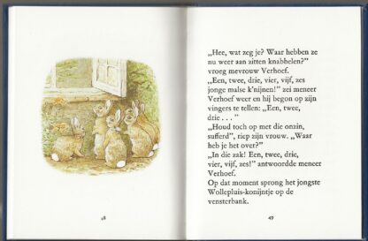 Het verhaal van de Wollepluis-konijntjes  -  Beatrix Potter - Afbeelding 3
