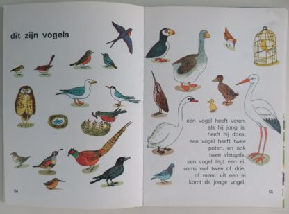 Mijn eerste leesboek  -  Richard Scarry - Afbeelding 4