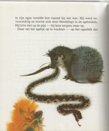 Verhaaltjes uit het bos  -  Rudo Moric - Afbeelding 6