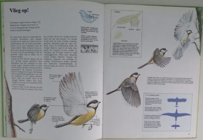 Groot Dierenboek voor de Jeugd - Afbeelding 5