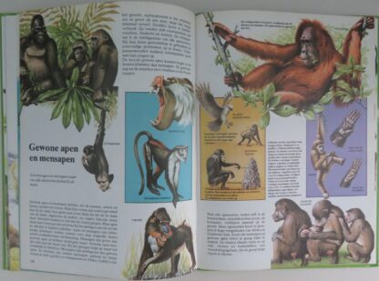 Groot Dierenboek voor de Jeugd - Afbeelding 6