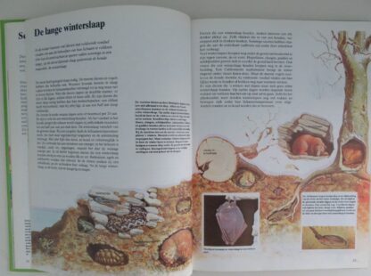Groot Dierenboek voor de Jeugd - Afbeelding 4