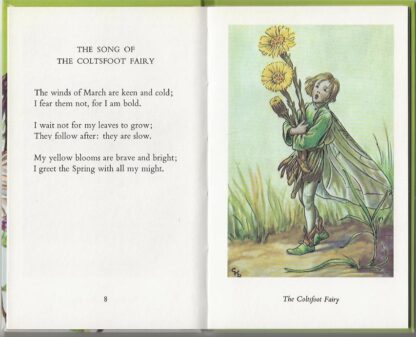 Flower Fairies of the Spring  -  Cicely M. Barker - Afbeelding 8