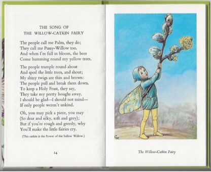 Flower Fairies of the Spring  -  Cicely M. Barker - Afbeelding 7