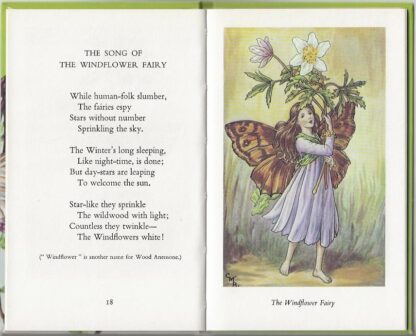 Flower Fairies of the Spring  -  Cicely M. Barker - Afbeelding 6