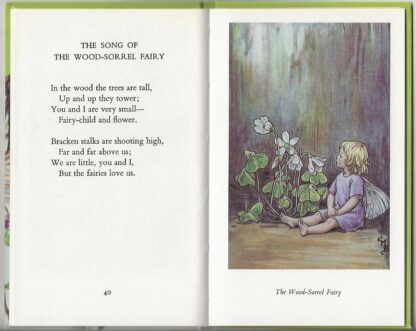 Flower Fairies of the Spring  -  Cicely M. Barker - Afbeelding 5