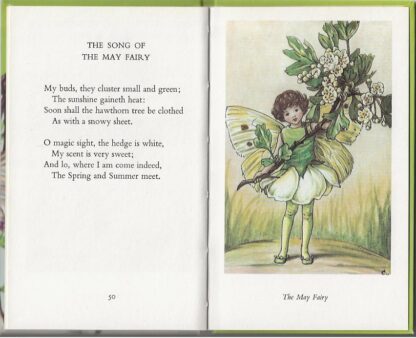 Flower Fairies of the Spring  -  Cicely M. Barker - Afbeelding 4