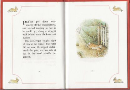 The Tale of Peter Rabbit  -  Beatrix Potter - Afbeelding 3