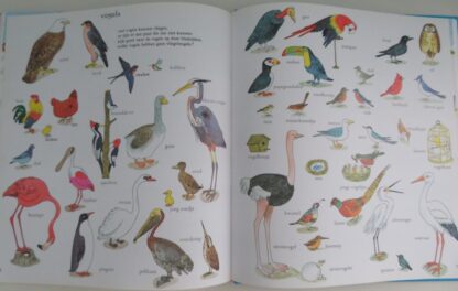 Mijn leuk Woordenboek  -  Richard Scarry - Afbeelding 6