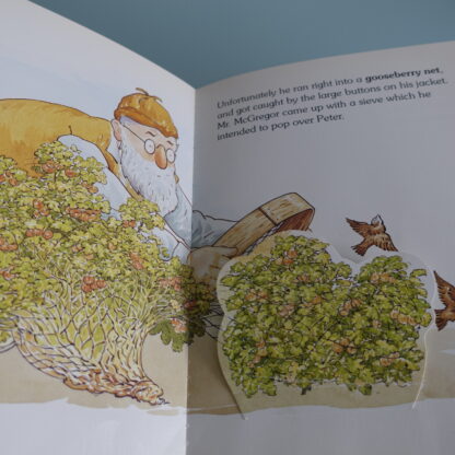 Where's Peter Rabbit?  -  Beatrix Potter - Afbeelding 6