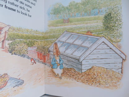 Where's Peter Rabbit?  -  Beatrix Potter - Afbeelding 4