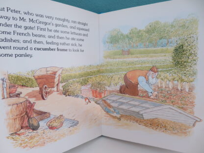 Where's Peter Rabbit?  -  Beatrix Potter - Afbeelding 5