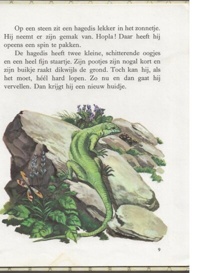 Een dagje in  het bos  -  Gijs Haag - Afbeelding 3