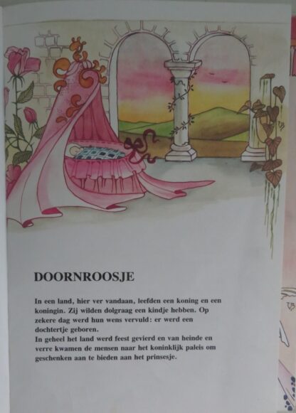 Doornroosje - Afbeelding 2