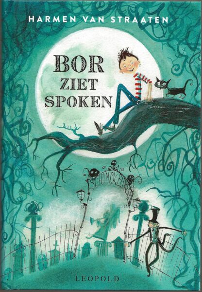 Bor ziet spoken  -  Harmen van Straaten