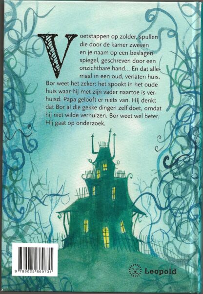 Bor ziet spoken  -  Harmen van Straaten - Afbeelding 5