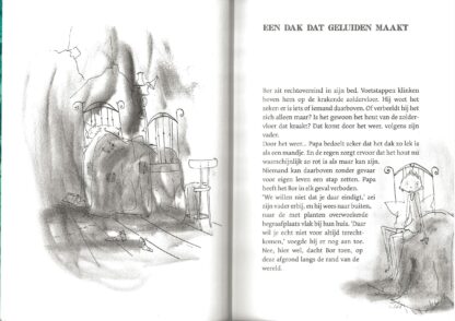 Bor ziet spoken  -  Harmen van Straaten - Afbeelding 3