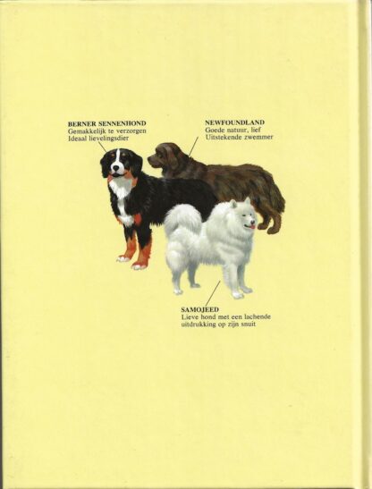 Honden  -  Jo Briels - Afbeelding 5