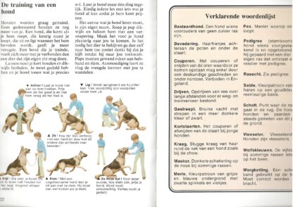 Honden  -  Jo Briels - Afbeelding 4