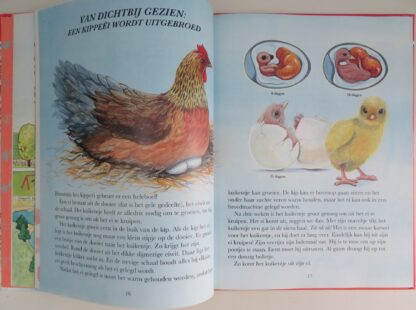 Lezen is leuk - Lente, Zomer, Herfst, Winter  -  Fisher-Price - Afbeelding 5