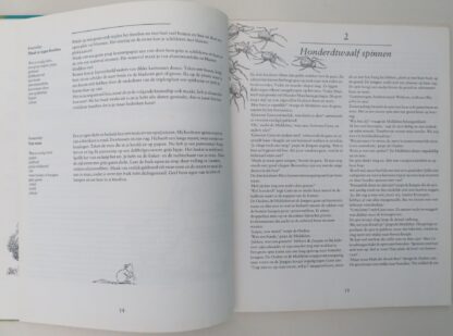 Soms is het feest  -  Ellen Tijsinger - Afbeelding 4