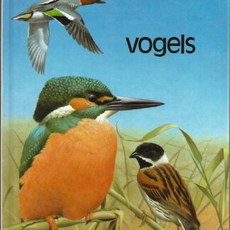 Vogels  -  Jo Briels