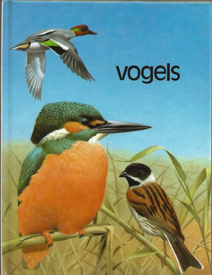 Vogels  -  Jo Briels