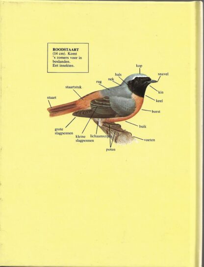 Vogels  -  Jo Briels - Afbeelding 5
