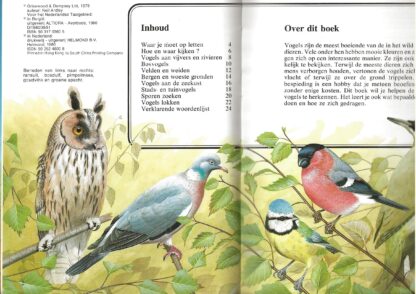 Vogels  -  Jo Briels - Afbeelding 2