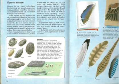 Vogels  -  Jo Briels - Afbeelding 4