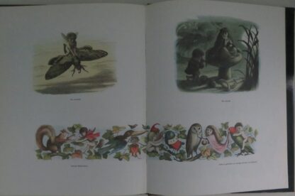 In Elfenland  -  Richard Doyle - Afbeelding 6
