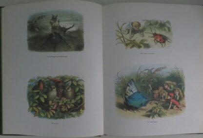 In Elfenland  -  Richard Doyle - Afbeelding 4