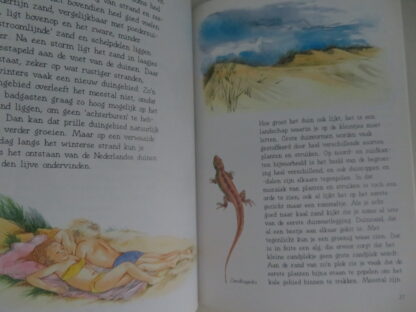 Zand, wind en water; Land, wind en water; Bos, hei en vennen  -  Chris van Deursen - Afbeelding 5