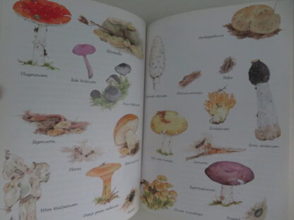 Zand, wind en water; Land, wind en water; Bos, hei en vennen  -  Chris van Deursen - Afbeelding 8