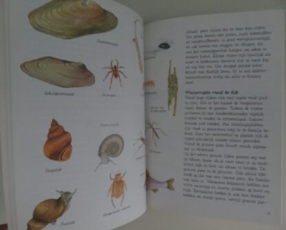 Zand, wind en water; Land, wind en water; Bos, hei en vennen  -  Chris van Deursen - Afbeelding 4